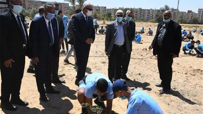 جهاز البيئة بقنا يشارك زراعة 600 شجرة و شتله مثمره فى الاسبوع البيئى