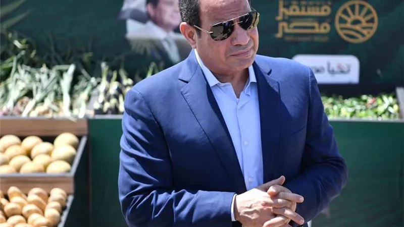 بعد تفقد الرئيس السيسي للحصاد الزراعي .. تعرف على مشروع مستقبل مصر في ١٥ معلومة