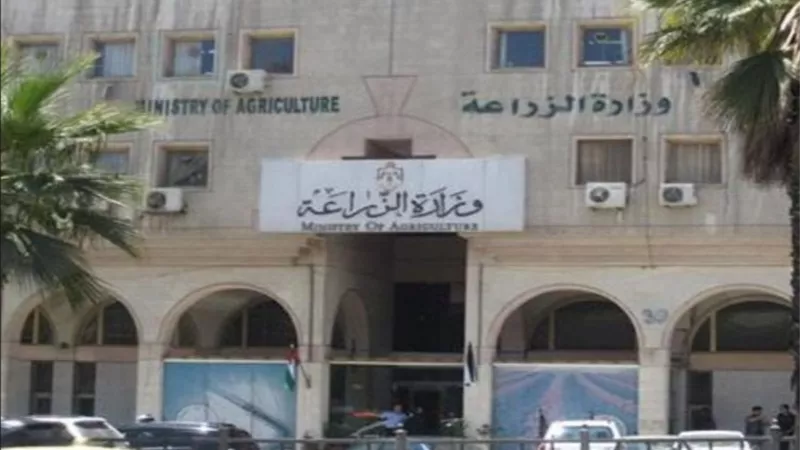 الزراعة: نشرة بالتوصيات الفنية لمزارعي المانجو خلال شهر ابريل
