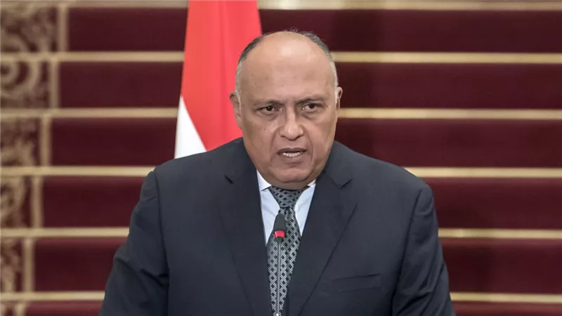 وزير الخارجية: الملء الثاني لسد النهضة خطوة في منتهى الخطورة