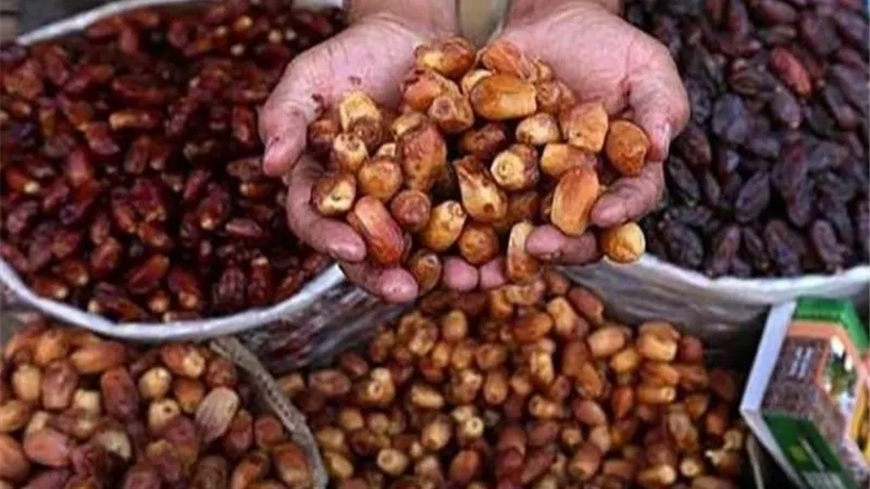 ١٧ توصية للمهرجان الاول للنهوض بقطاع التمور