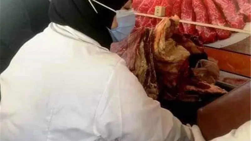 بيطرى الشرقية يضبط 5 أطنان لحوم و طيور وأسماك ويحرر 97 محضر.. بالصور