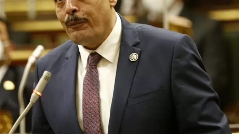 أشرف أمين: العفو الجمهوري عن عدد من السجناء دليل على إنسانية الرئيس