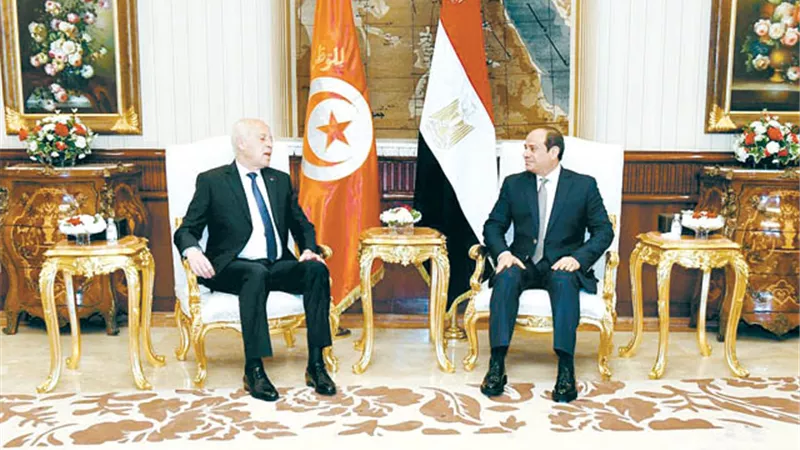 قمة مصرية- تونسية في القاهرة.. اليوم