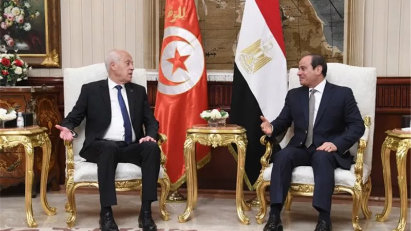 الرئيس يجري اتصالًا هاتفيًا بنظيره التونسي.. ويؤكد: تمنياتى لتونس بدوام التقدم والاستقرار