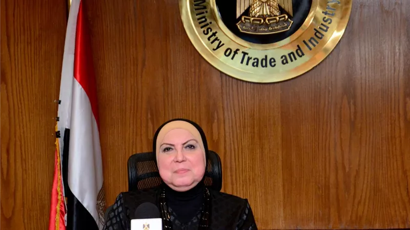 وزيرة الصناعة تصدر قراراً بشأن واردات منتجات الألومنيوم