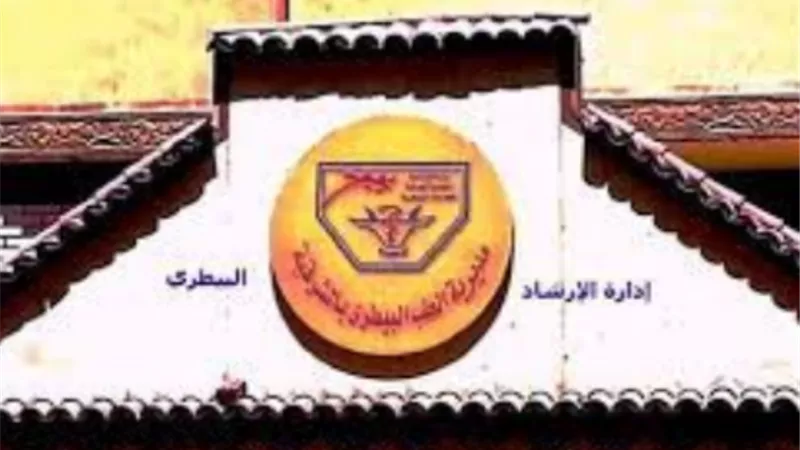 ضبط ١٨طنا من اللحوم المجمدة والأسماك والدواجن الفاسدة بالشرقية