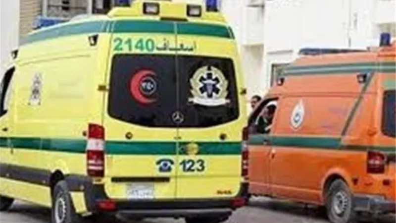 تفاصيل ضبط عامل قام بأحراق والدة ووالدتة ببنزين فى الدقهلية