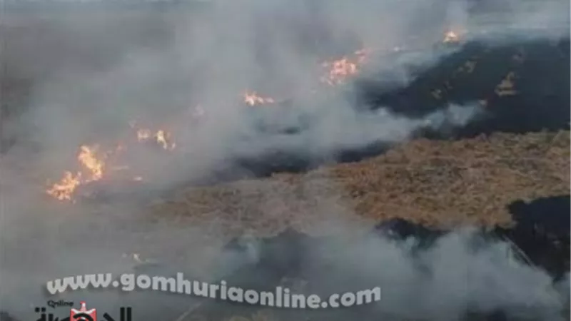 حريق يلتهم ١٠٠ بالة من قش الأرز المشون بالدقهلية