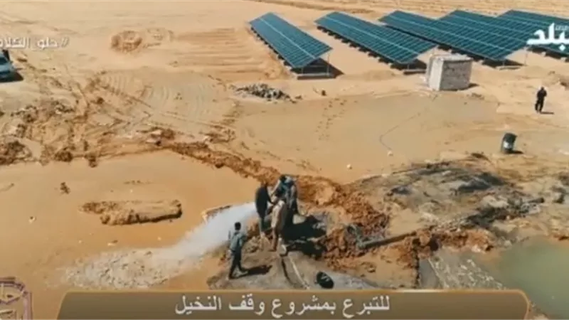 بالفيديو.. داعية: الصدقة الجارية في وقف النخيل مستمرة بعد الموت