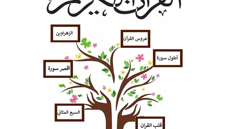 أطول وأقصر سور المصحف .. وما هما الزهراوين وعروس القرآن الكريم؟