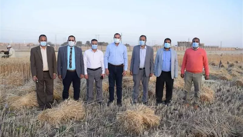 رئيس جامعة سوهاج يشارك في حصاد القمح و يفطر مع عمال المزرعة..صور