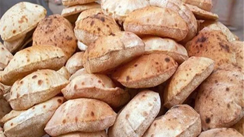 لصوص العيش غاويين تكويش