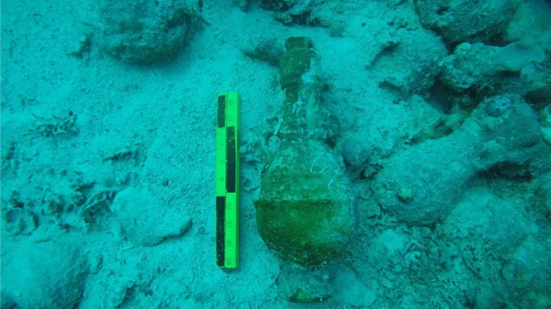 جامعة الإسكندرية تنجح في الكشف عن مقدمة السفينة الغارقة بجزيرة سعدانا بالبحر الأحمر