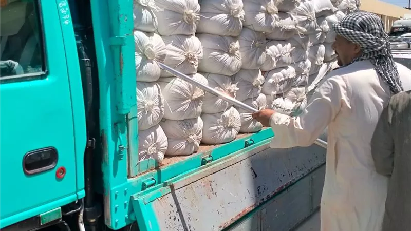 توريد 98 طن أردب قمح لشون الأقصر