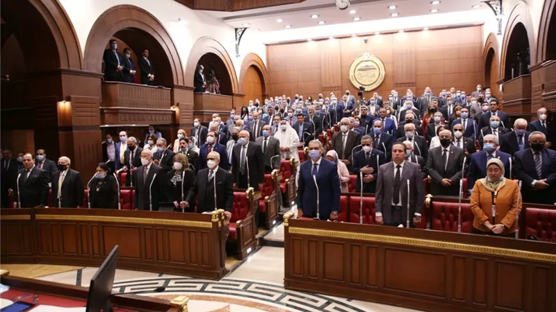 مجلس الشيوخ يوافق على تعديلات المادة 11 من قانون نقابة المهندسين