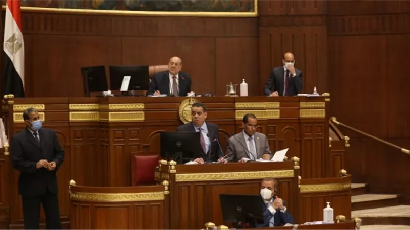 رئيس مجلس الشيوخ يرفع الجلسة العامة.. ومعاودة الانعقاد غدا