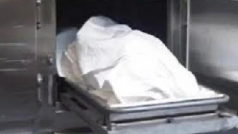 مصرع شخص في انقلاب سيارة ربع نقل علي الطريق الدولي بالدقهلية