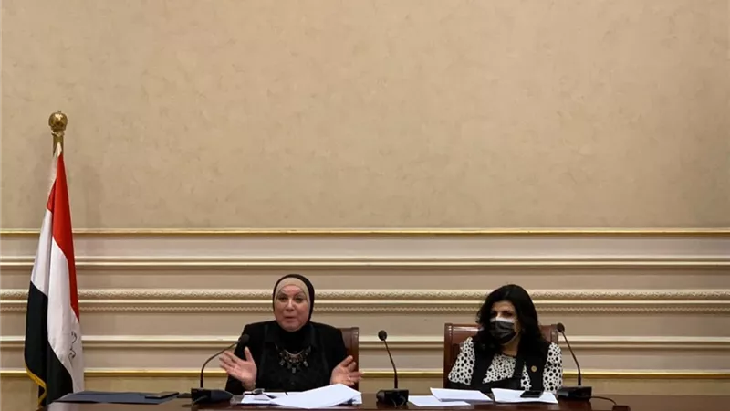 وزيرة الصناعة: تستعرض ملامح قانون تنمية المشروعات المتوسطة والصغيرة