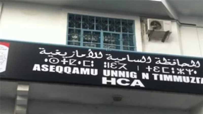 إصدار نسخة من دستور الجزائر بالأمازيغية