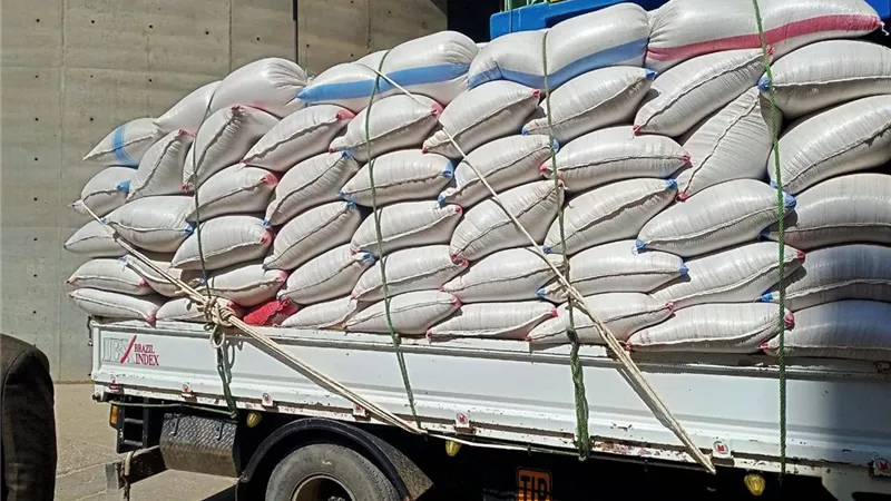 تموين المنيا : استقبلنا 3 الاف و292 طنا من القمح فى خمسة ايام