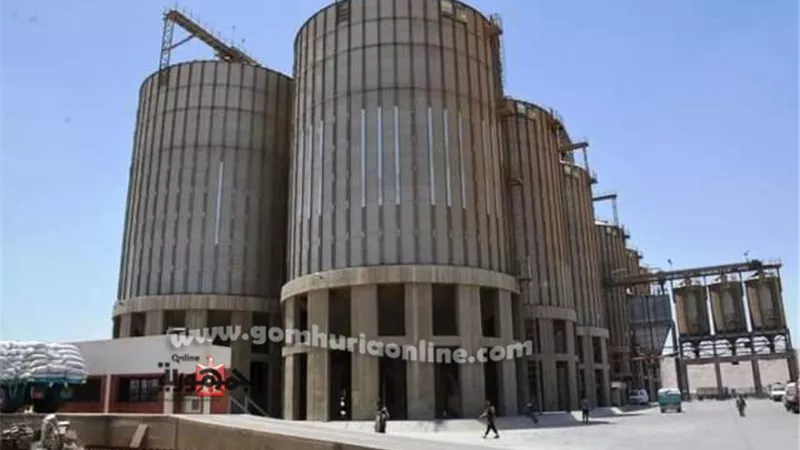 الفقي: توريد 3951 طن أقماح لشون وصوامع سوهاج خلال 5 أيام..صور