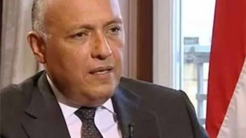 وزير الخارجية يصل جنوب أفريقيا ويسلم رامافوزا رسالة من السيسي