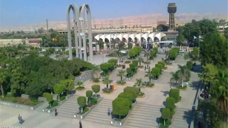 كلية التربية فى حلوان تقدم دورات تدريبية لطلاب الجامعة.. تعرف على رابط التسجيل بالصور
