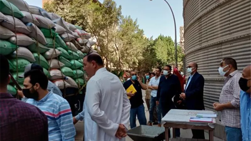 بدء موسم توريد القمح للصوامع والهناجر فى الدقهلية.. بالصور