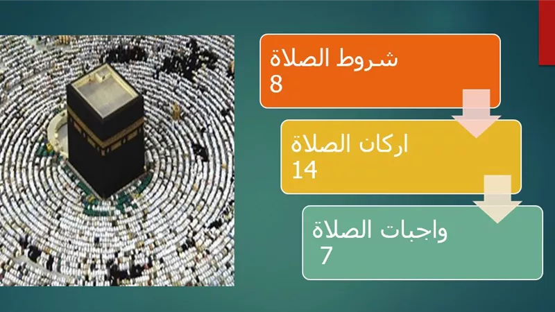 أفضل الأعمال بعد الشهادتين وشروط الصلاة وأركانها وواجباتها .. تعرف على التفاصيل
