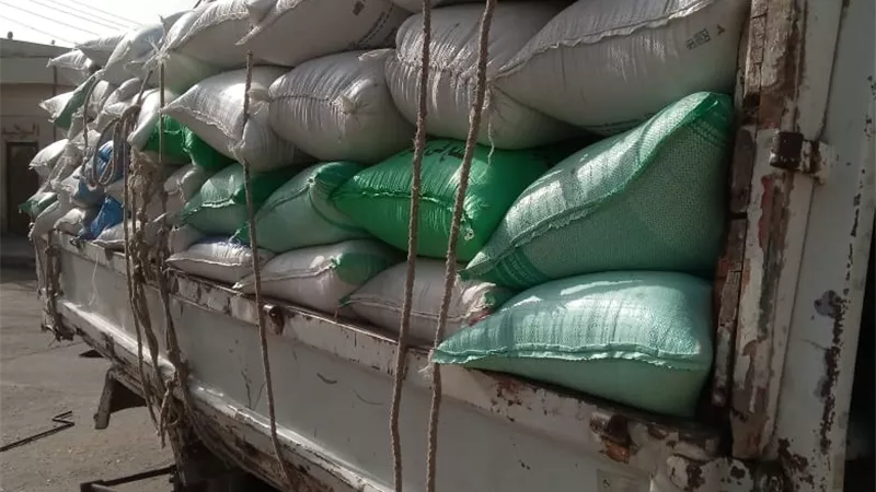 . محافظ كفر الشيخ : حصاد 32 ألف فدان من 232 ألف فدان قمح واستقبال الأقماح ب 20 موقعاً