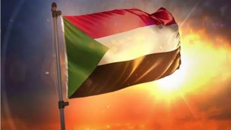 السودان.. اعلان مدينة الجنينة بدارفور منطقة منكوبة