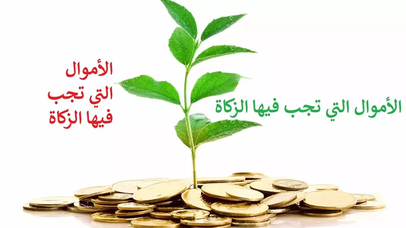 ما هي الزكاة .. ومتى فُرضت .. وما الفرق بينها وبين الصدقة؟ ..تعرف على التفاصيل