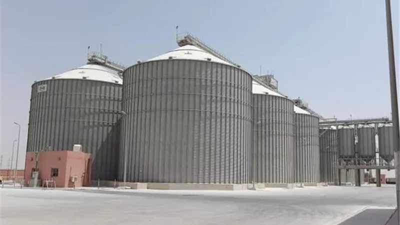 استقبال 312.760 طن قمح من المزارعين بالسويس