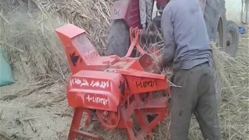 ماكينة دراس القمح فصلت رأس عامل عن جسده بالدقهلية