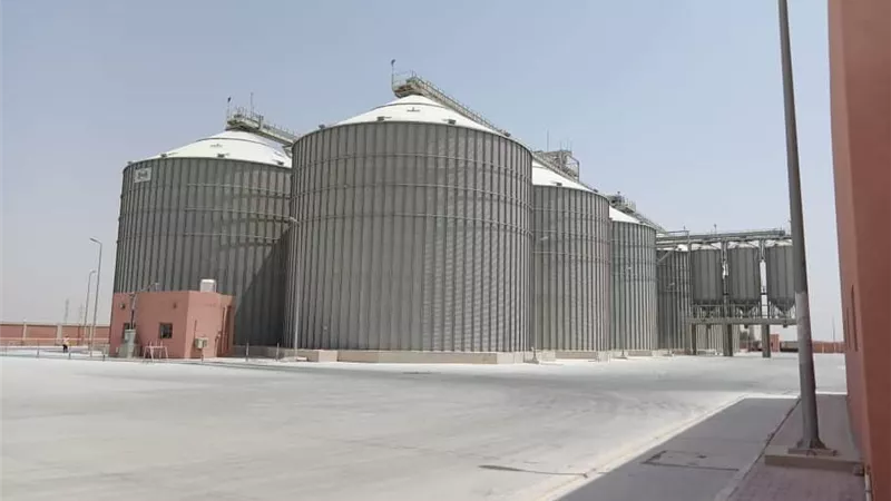 بدء إستقبال توريد القمح المحلي بصومعة عتاقة بالسويس