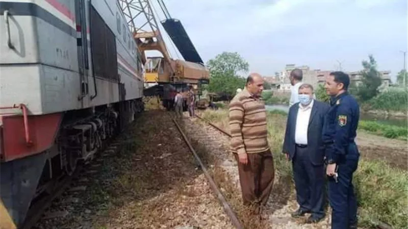 رأس ماشية تسببت فى عطل مفاجىء لقطار بضاعة فى الدقهلية