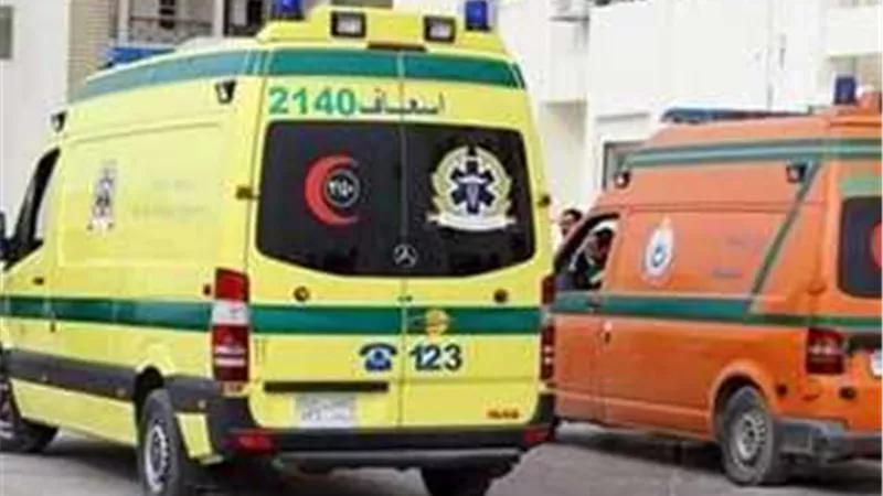 مصرع 7 أشخاص بينهم 5 من اسرة واحدة فى تصادم مروع بالشرقية
