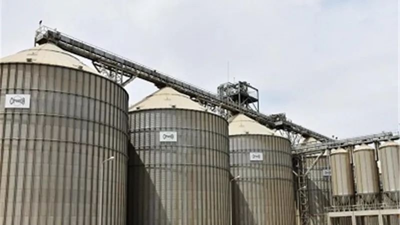 محافظ أسوان : توريد أكثر من 17 ألف طن من الأقماح حتى الأن