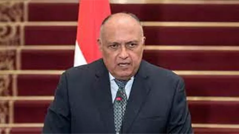 وزير الخارجية يبحث هاتفيا مع نظيرته الليبية مُستجدات الأوضاع في ليبيا