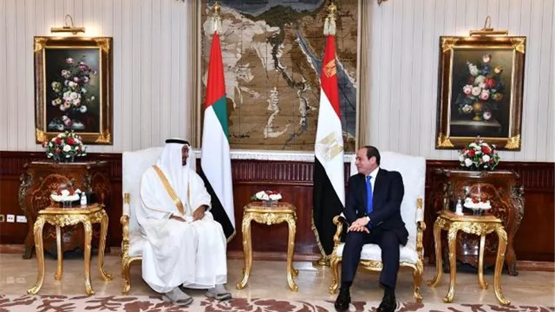 ولى عهد الامارات يشيد بدور مصر المحورى كركيزة للاستقرار بالمنطقة