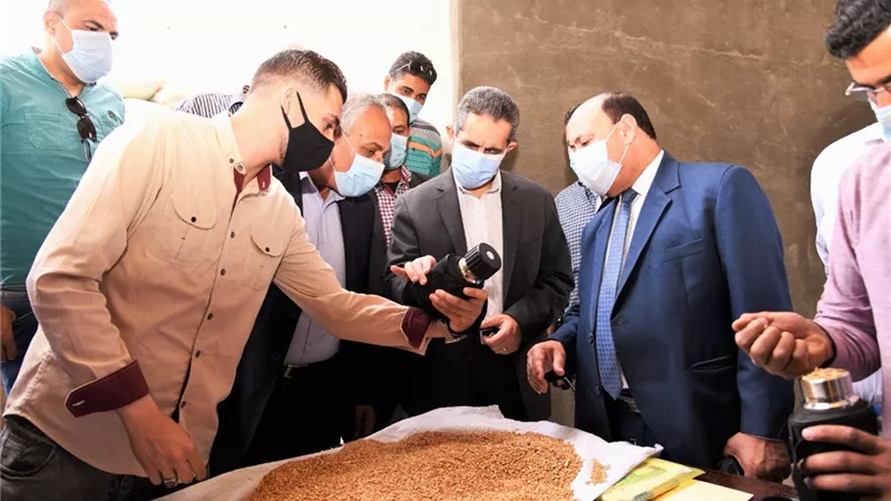 محافظ الغربية : توريد ١١٠٩٥ طن قمح إلى الصوامع بالمحافظة-صور