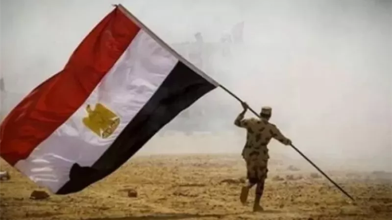 إقبال متزايد على توريد القمح لشون وصوامع الشرقية