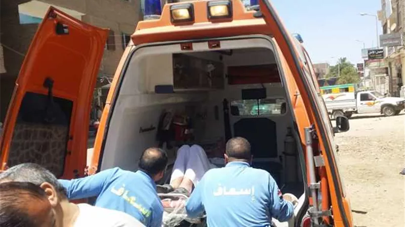 مصرع فلاح تصادف وقوفه علي الطريق اثناء حادث تصادم بالدقهلية