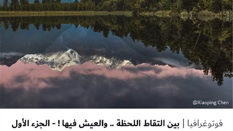 بين التقاط اللحظة .. والعيش فيها ! - الجزء الأول