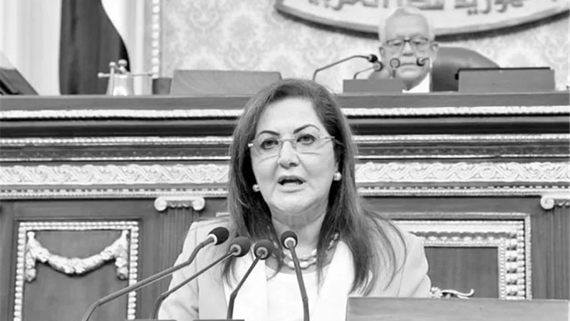 خطة استثمارية.. تتحدي الظروف الاستثنائية
