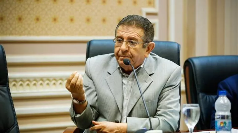 رئيس الشؤون العربية بالنواب: لقاء السيسي بآل نهيان يؤكد عمق العلاقات بين البلدين