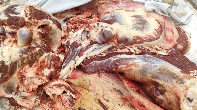 الجيزة تضبط ٢١ طن لحوم وأسماك ودواجن وكبدة غير صالحة للإستخدام الأدمي