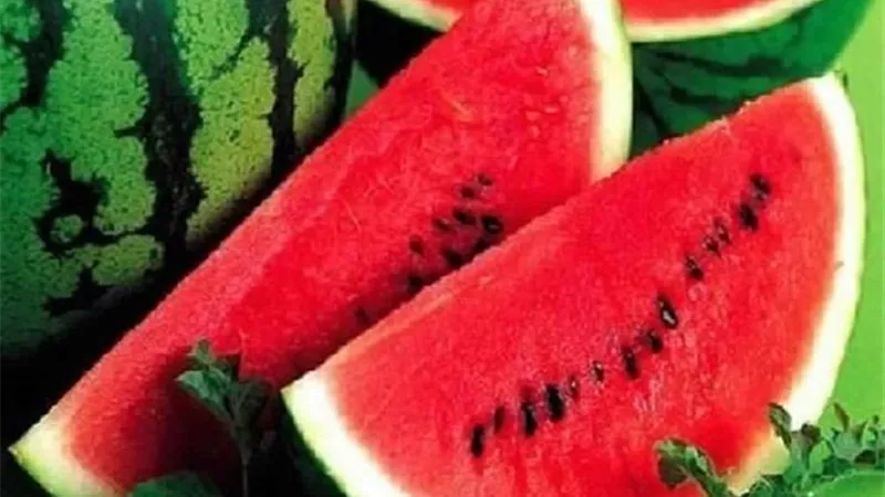 يعزز المناعة ومصدراً جيداً للعديد من المعادن.. تناول البطيخ مع بذوره
