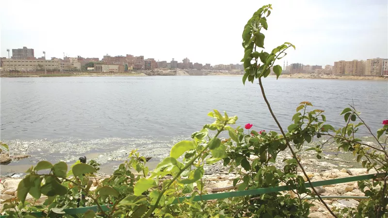 عين الصيرة تحولت من بؤرة تلوث إلي متنزهات وحدائق وبحيرة